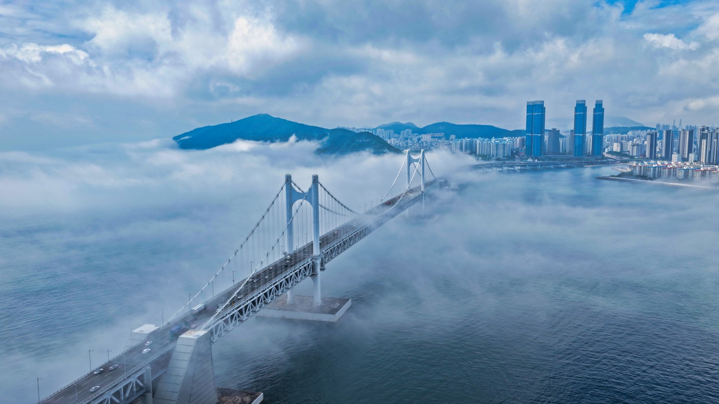 810d264c846a826cae469b0b3cab0c24_1784528396_1418.jpg