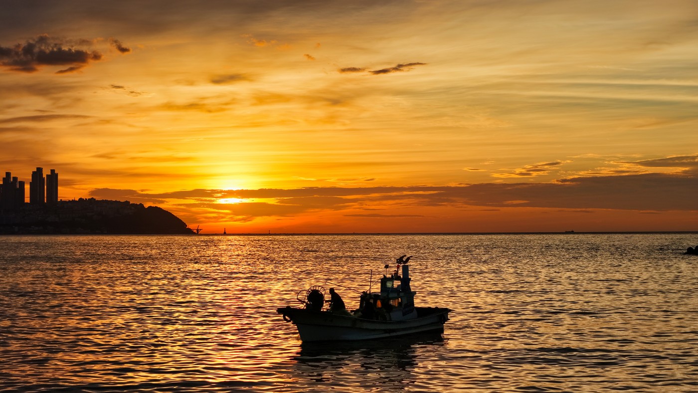 eafd6d6889ab553291feab6da61b319e_1786153687_5398.JPG